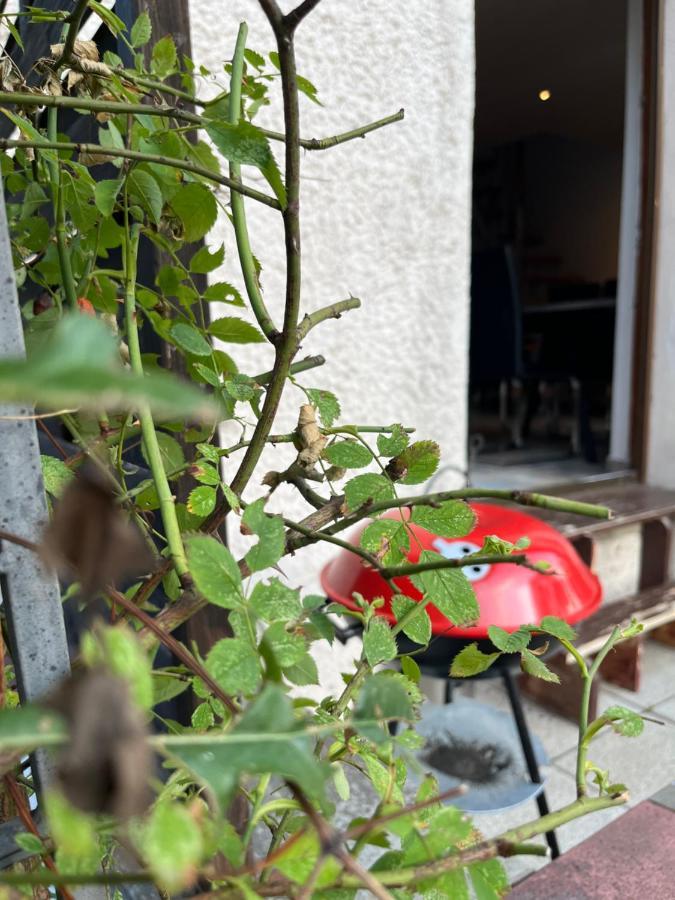 Alpina Haus Apartment Oberammergau Bagian luar foto